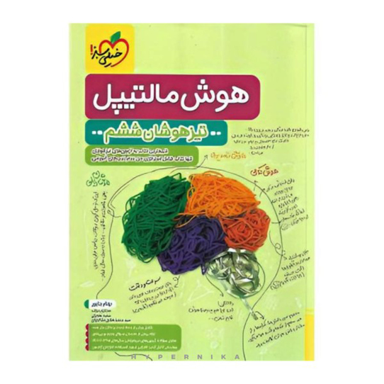 کتاب هوش مالتیپل تیزهوشان ششم انتشارات خیلی سبز